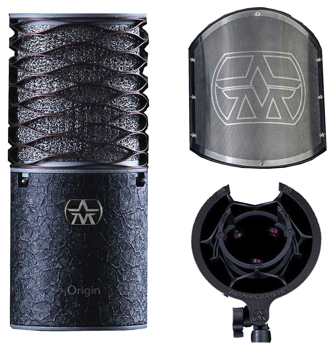 Large Diaphragm Condenser Microphone with Aston SwiftShield Pop Filter and Shock Mount Set