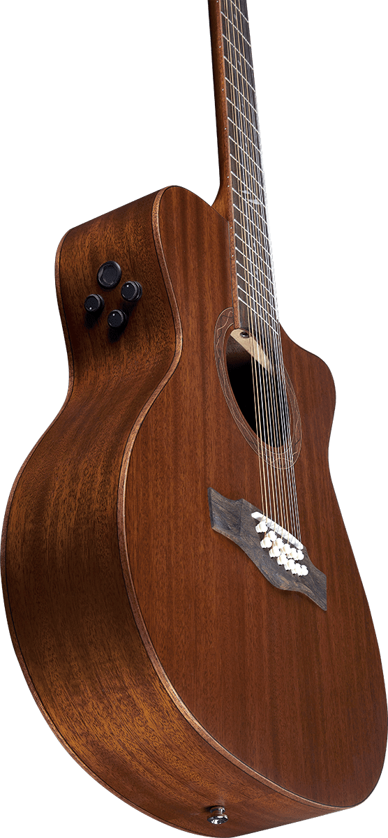 12-string Auditorium Cutaway