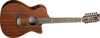 12-string Auditorium Cutaway