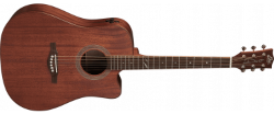 D200CE-AC Dreadnought Fishman Flex