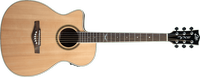 NXT A100CWE Auditorium cutaway Natural left-handed