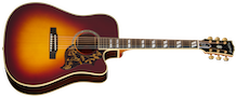 Hummingbird Deluxe EC Autumn Burst