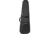 Semi-rigid case for bass, black