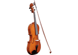 Viola 4/4