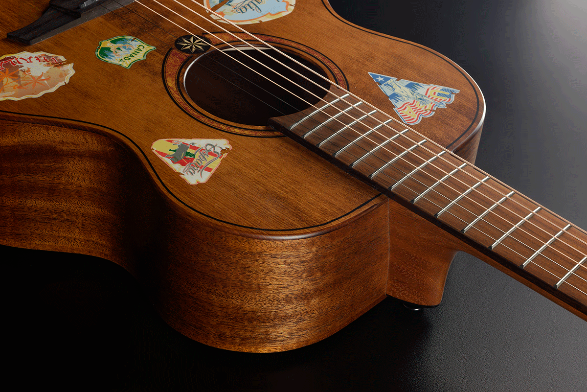 Travel Globe Trotter Acoustic-Electric
