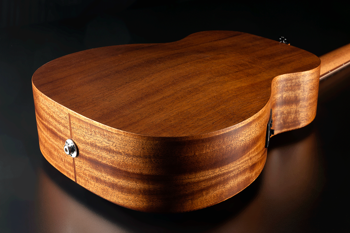 Travel Globe Trotter Acoustic-Electric