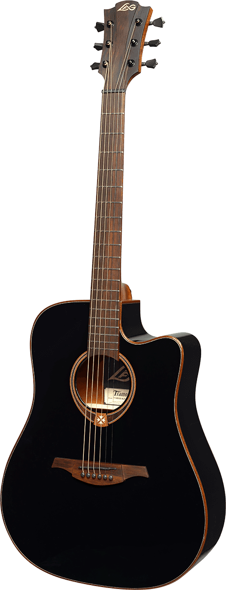 Dreadnought cutaway electro black