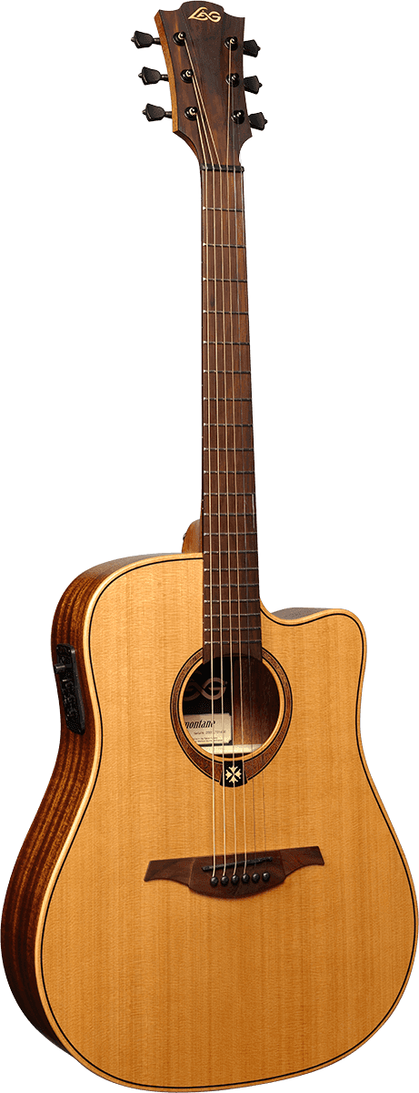 Tramontane Dreadnought Cutaway Electro