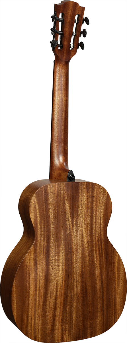 BlueWave1 Travel Nylon Vintage Brown Satin Smart Guitar