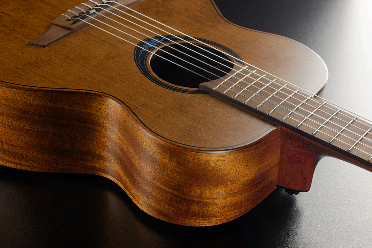 BlueWave1 Travel Nylon Vintage Brown Satin Smart Guitar