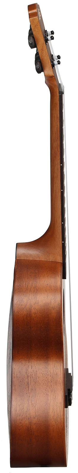 Tenor Arched Back w/ bag