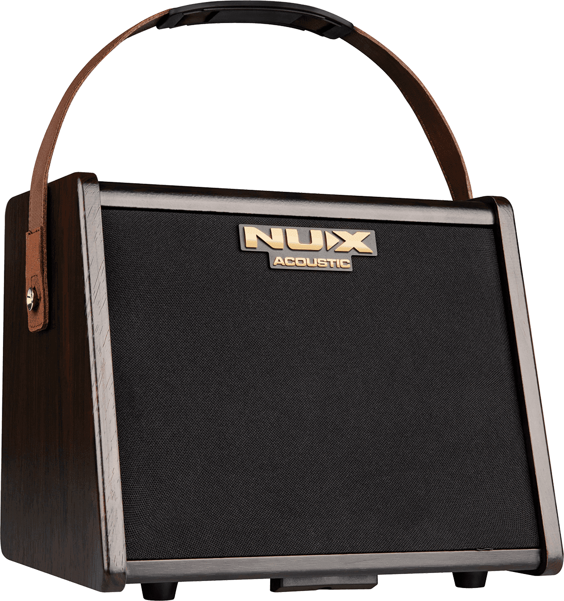 Portable battery-operated acoustic amp