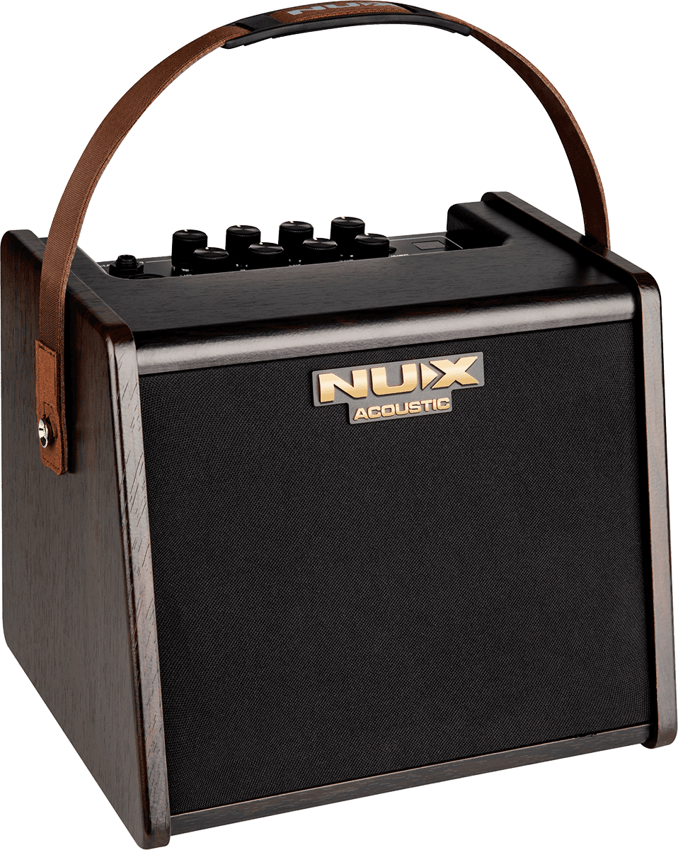 Portable battery-operated acoustic amp