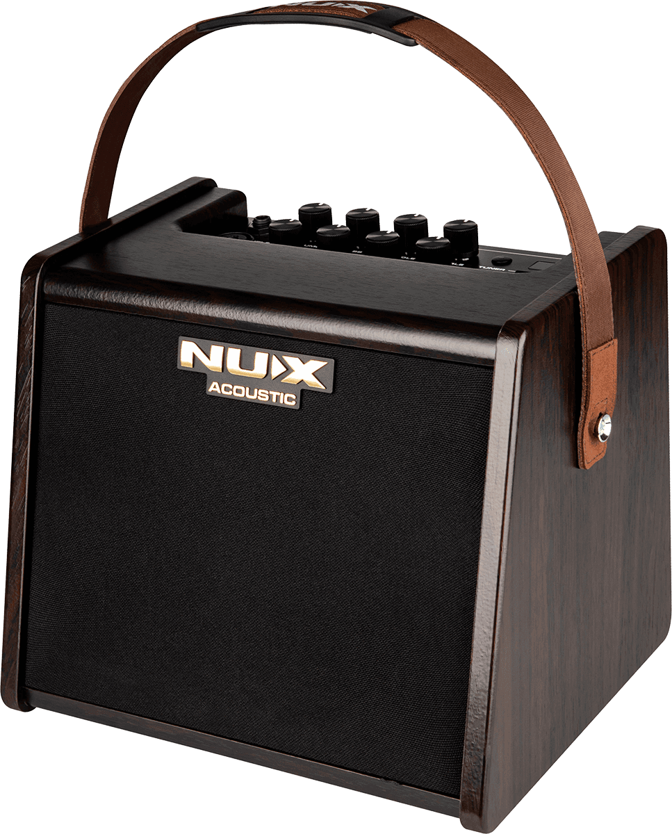 Portable battery-operated acoustic amp