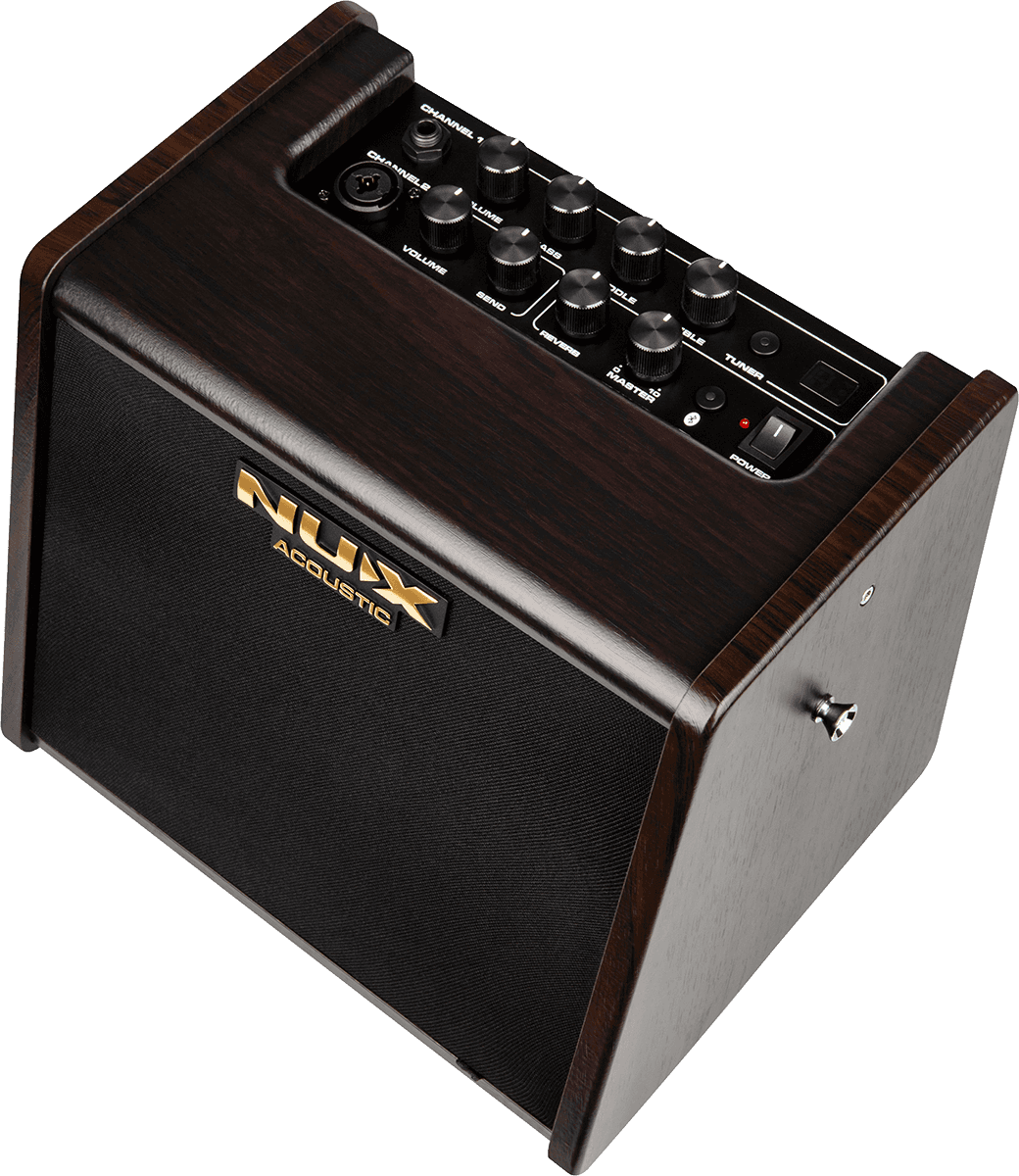 Portable battery-operated acoustic amp