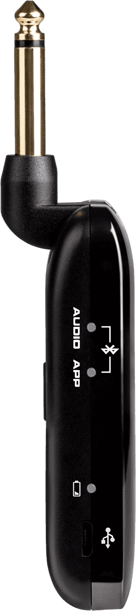 Remote modelling amplug