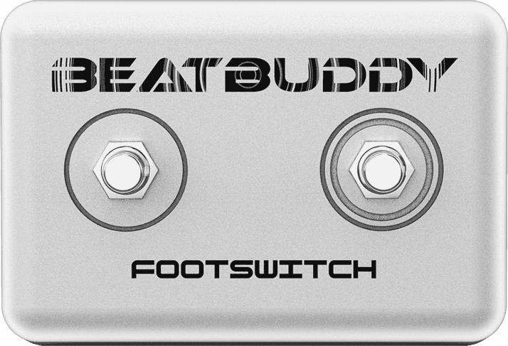 Footswitch w 2 buttons