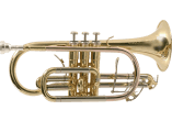Bb, Lacquered brass