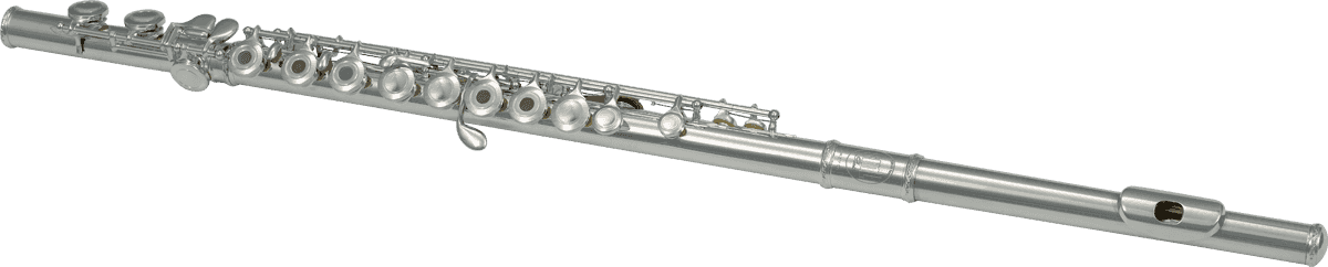 Beginner C flute FL300R