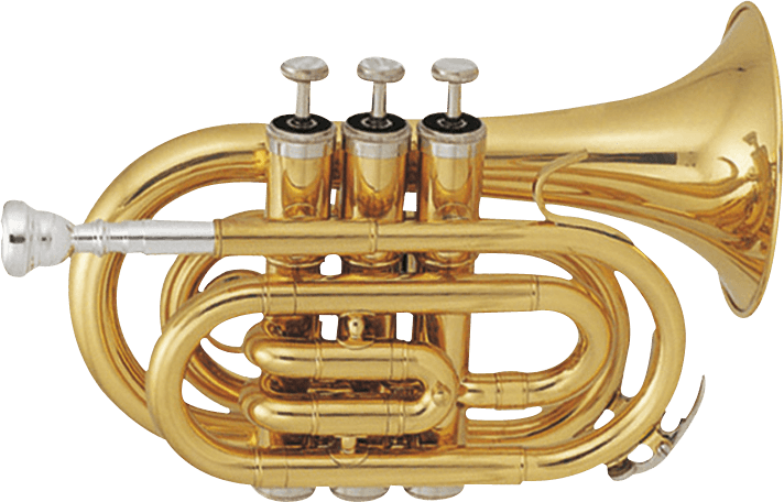 Bb, Pocket, Lacquered brass