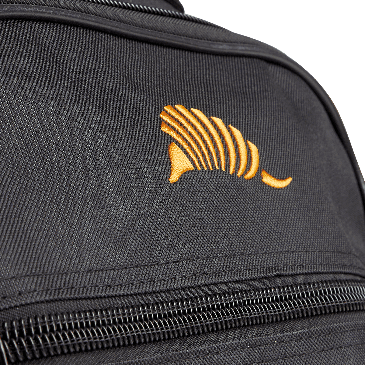 Acoustic Guitar Bag