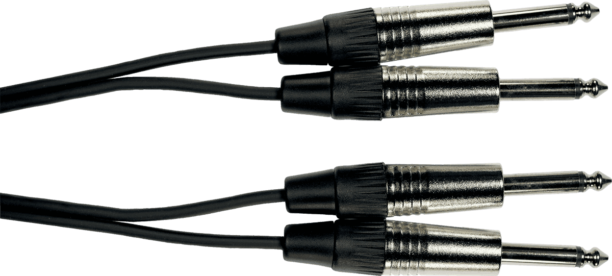 2 x 1/4 jack to 2 x 1/4 jack cable 10ft/3m
